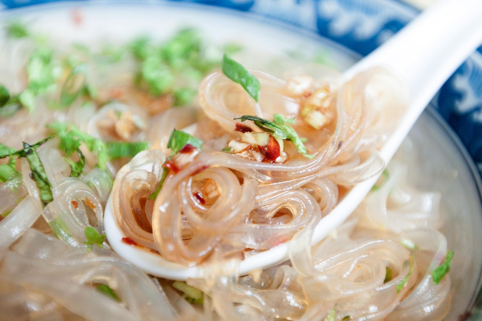 Food Makes Me Happy Cold Mung Bean Noodles with Sour and Spicy Sauce